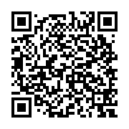 QR code for LIJ398