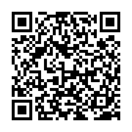 QR code for LIU523