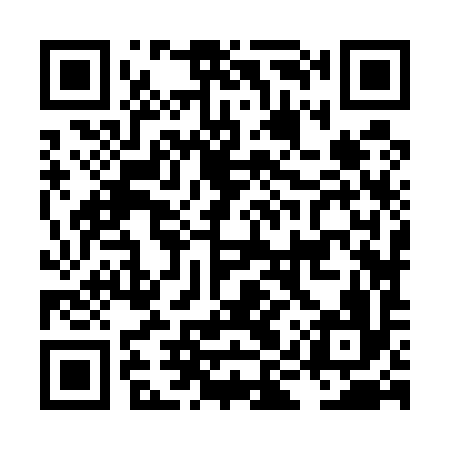QR code for LIZ596