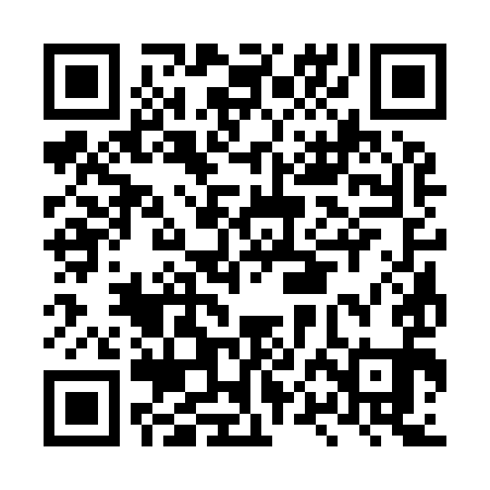 QR code for LPC991