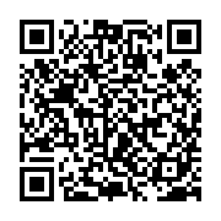 QR code for LSI481