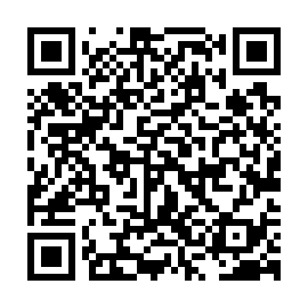 QR code for LSL739