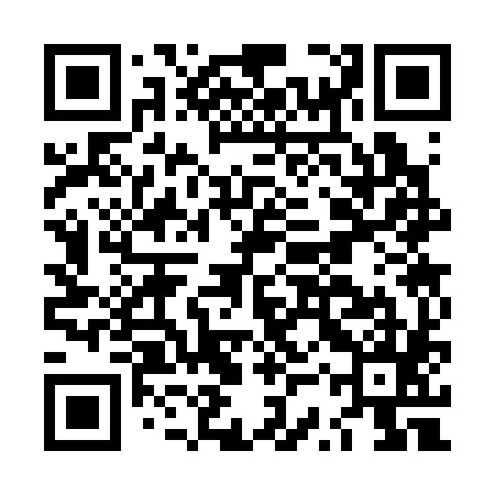 QR code for LSS385