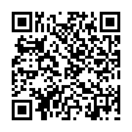 QR code for LSX386