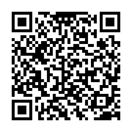 QR code for LUN399