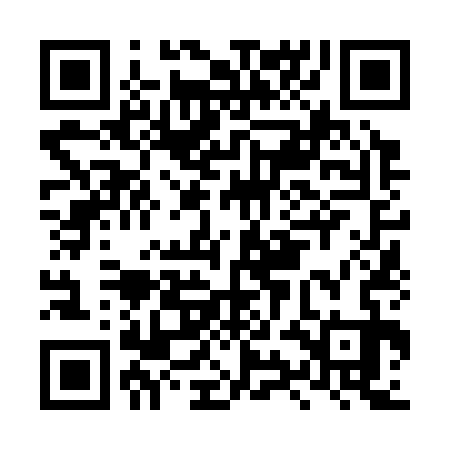 QR code for LYN333