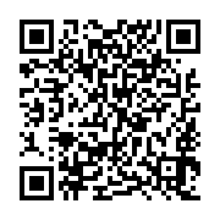 QR code for LYN493