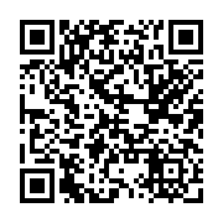 QR code for LYX383