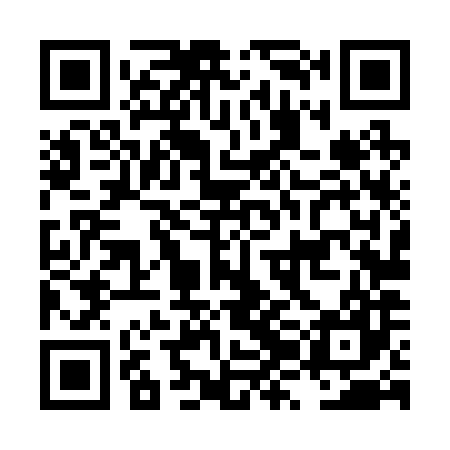 QR code for LZL287