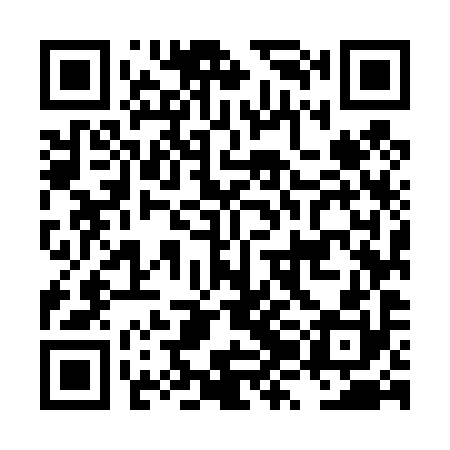 QR code for LZM490