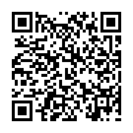 QR code for LZN133