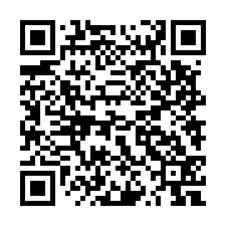QR code for LZN533
