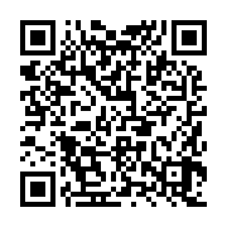 QR code for LZP988