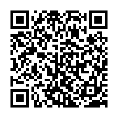 QR code for MAS233