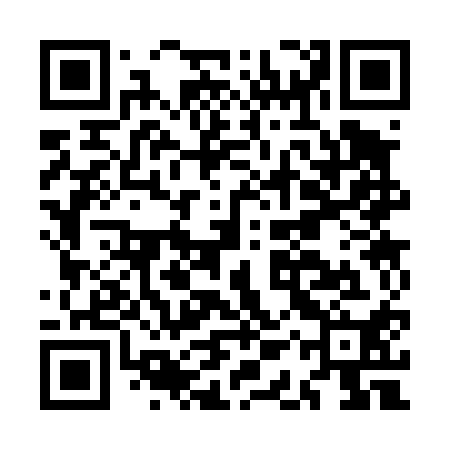 QR code for MAS410