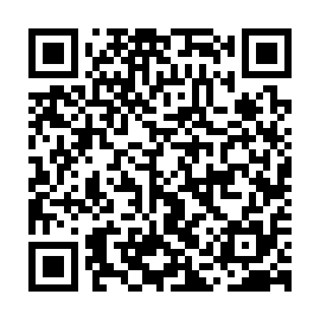 QR code for MAV315