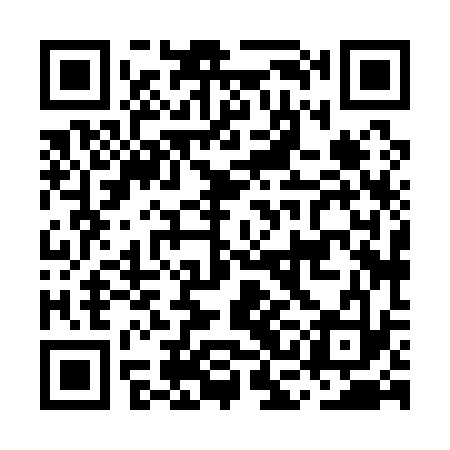 QR code for MCH133