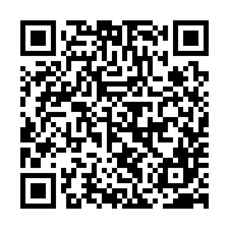 QR code for MGS386