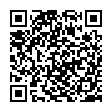 QR code for MIS355