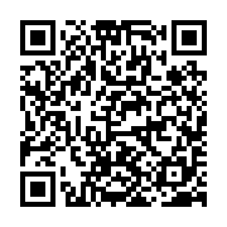 QR code for MNV295