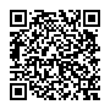 QR code for MPA411