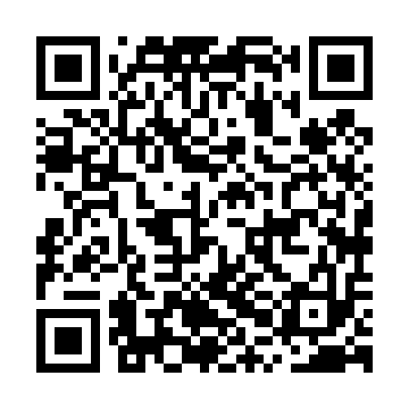 QR code for MPH413