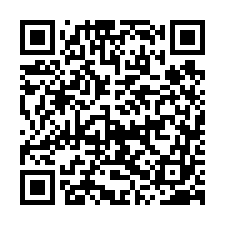 QR code for MPV663