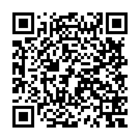 QR code for MSP868