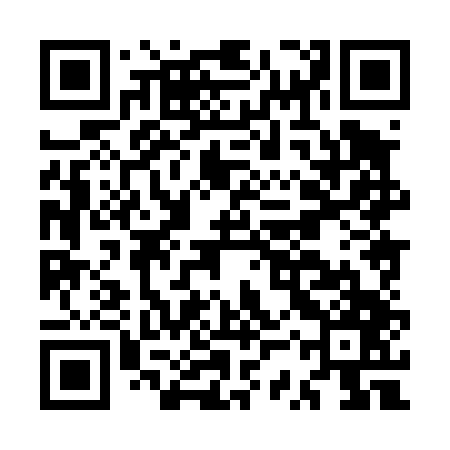QR code for MSX447