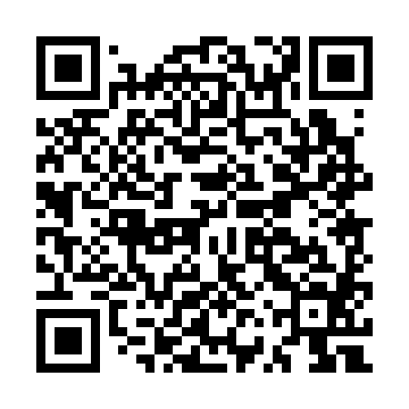QR code for MVP384