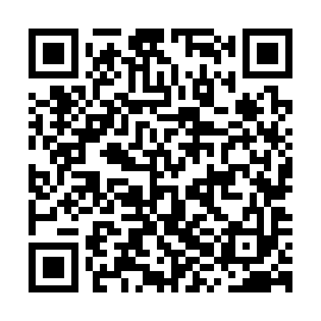 QR code for MXN393