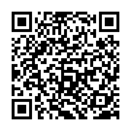 QR code for NAN228