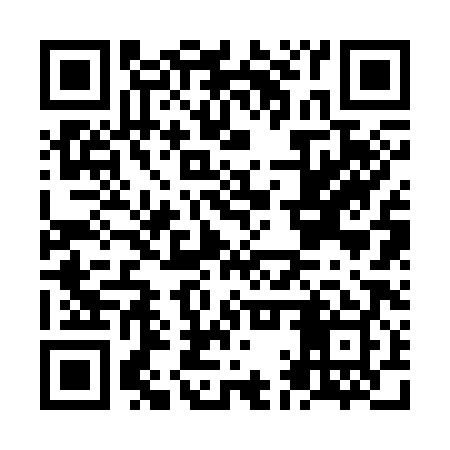 QR code for NAR389