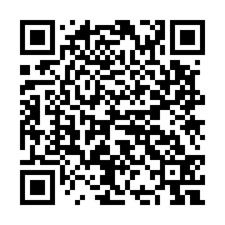 QR code for NBK533