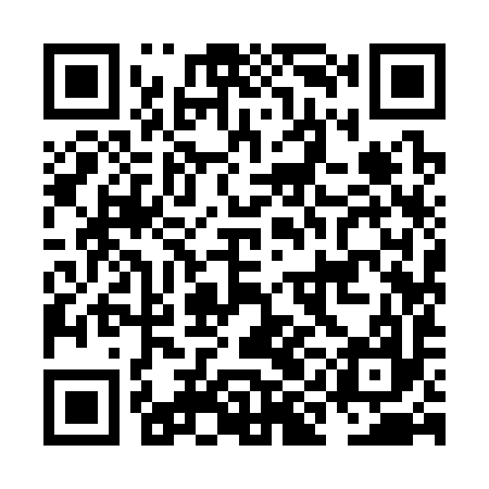 QR code for NII397