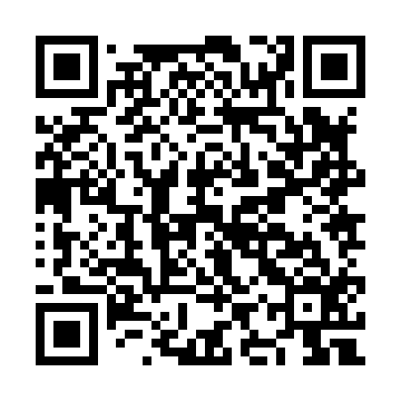 QR code for NIZ816