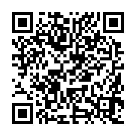 QR code for NKQ390