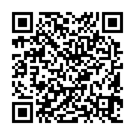 QR code for NMM381