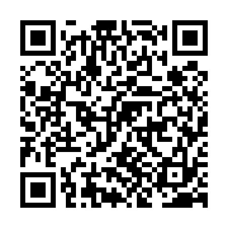 QR code for NNG533