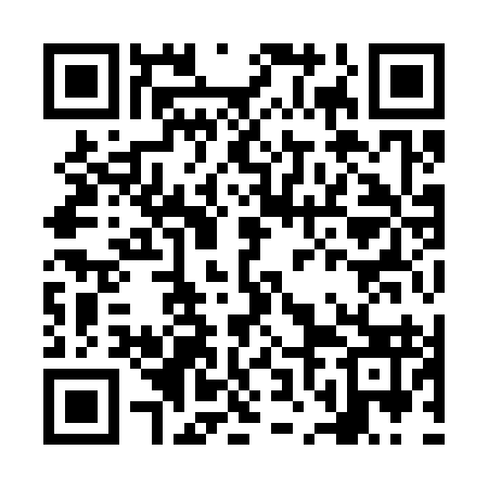QR code for NNI393