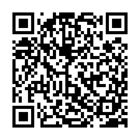 QR code for NPA541