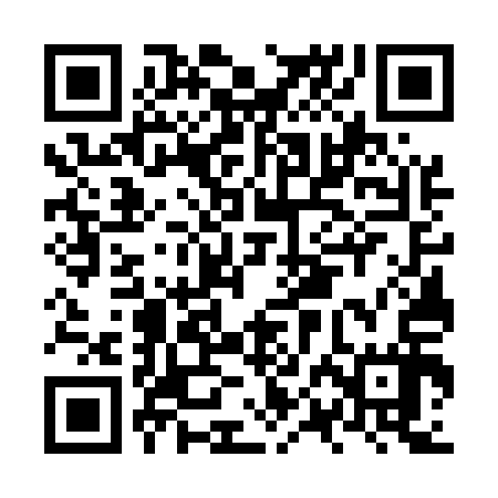QR code for NPG517