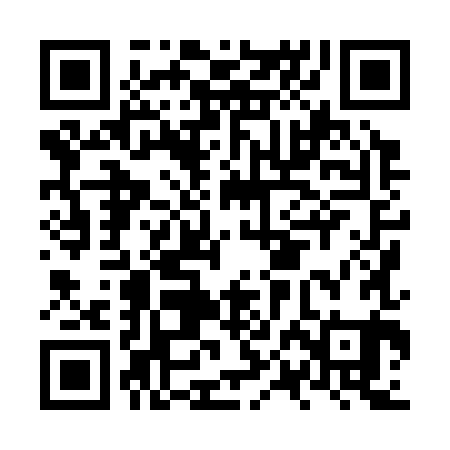 QR code for NPH381