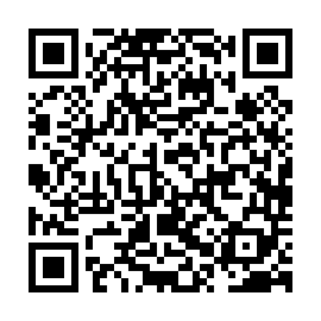 QR code for NPP049