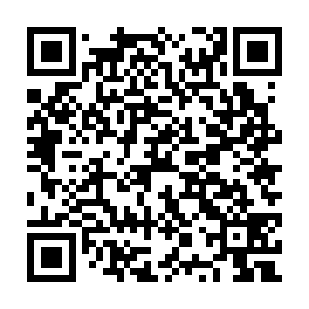 QR code for NPU339