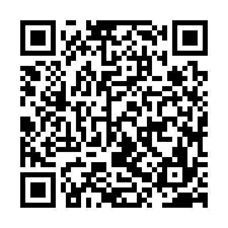 QR code for NPZ336