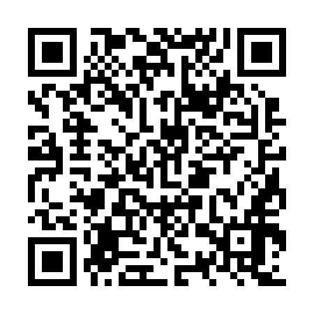 QR code for NSS256