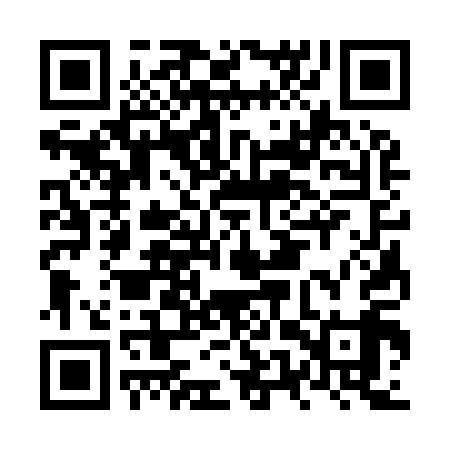 QR code for NUS919