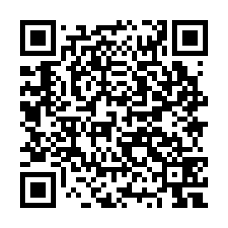 QR code for NVI379