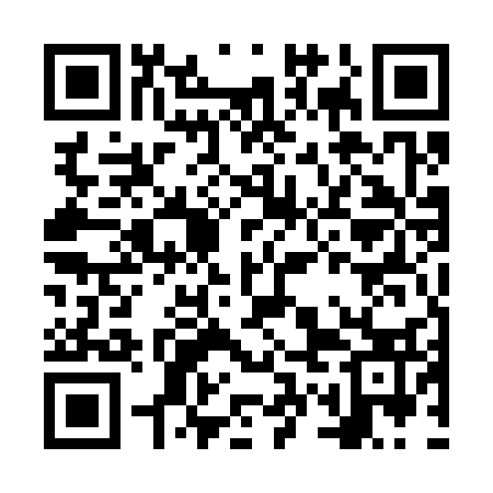 QR code for NWE333